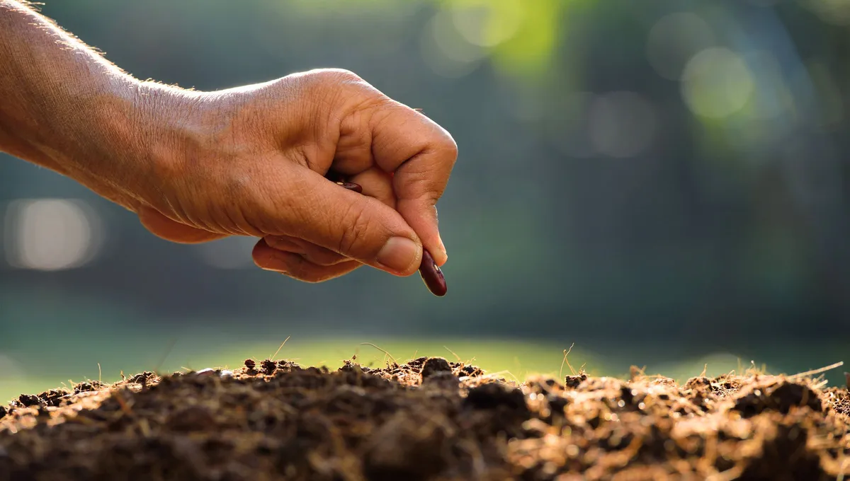 Ten, kdo má doma jablečná semínka, má doma poklad: proč je třeba je uchovávat.
